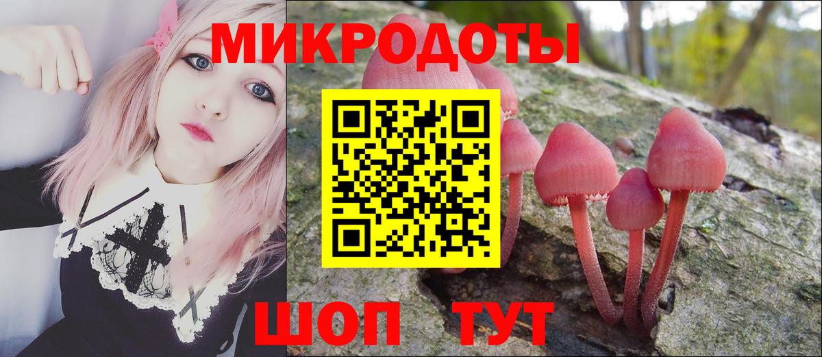 Галлюциногенные грибы Magic Shrooms Мичуринск